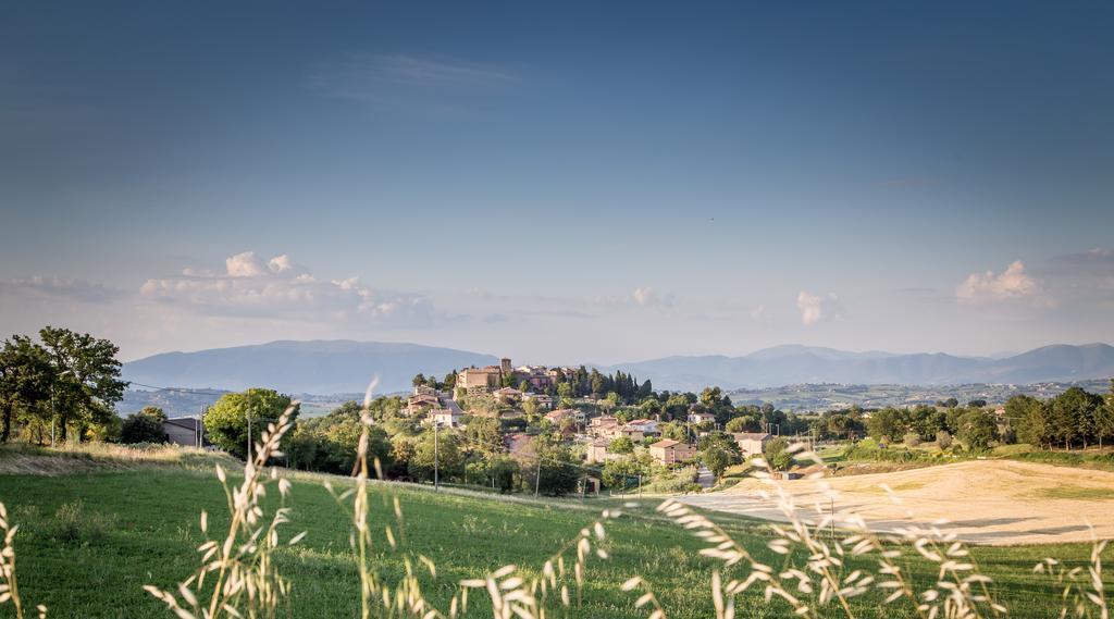 Domus In Castro Bed & Breakfast Montecchio  Eksteriør bilde